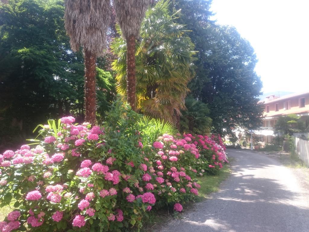 Hotel Le Mas Fleuri Vernet-les-Bains Exteriör bild