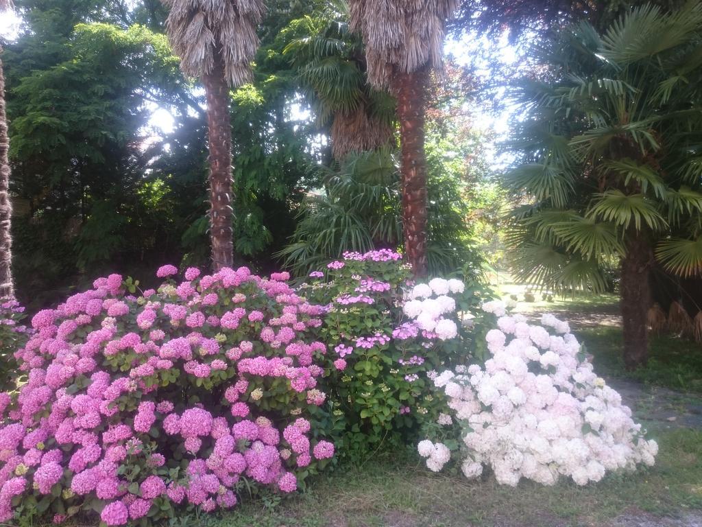 Hotel Le Mas Fleuri Vernet-les-Bains Exteriör bild